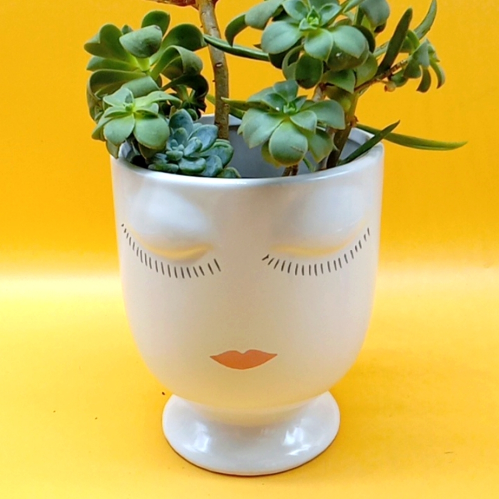 Ceramic Face Planter - Picture 2 of 8